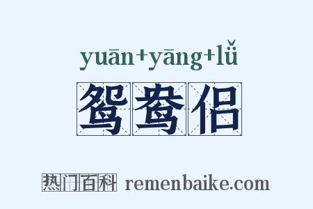 鸳鸯侣是什么意思的图片